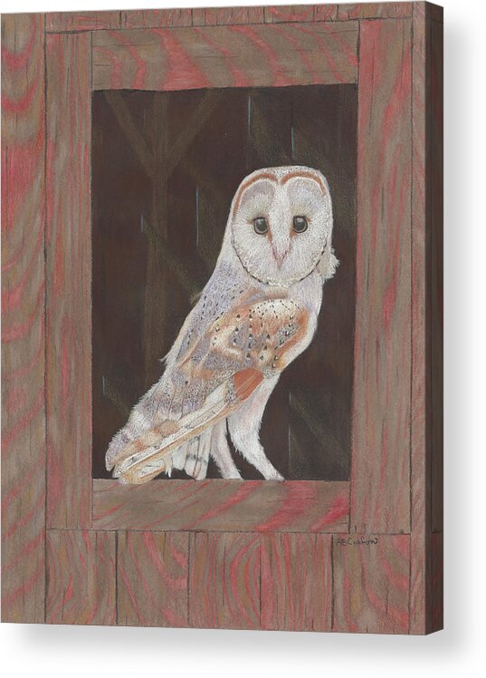Owl Acrylic Print featuring the painting Barn Owl in Residence by Arlene Crafton