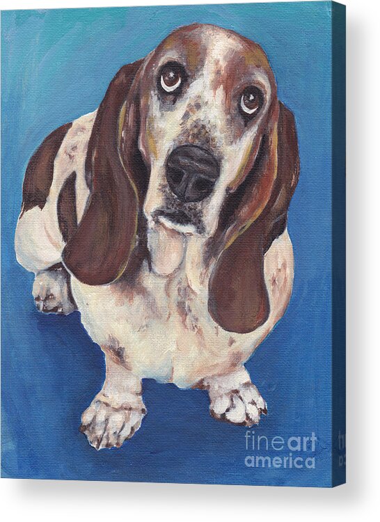 Basset Acrylic Print featuring the painting Basset Hound on Blue by Robin Wiesneth