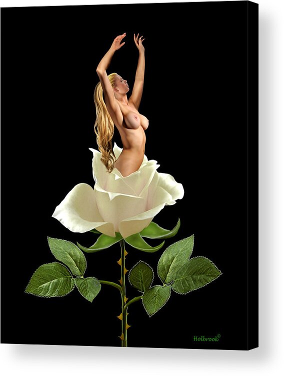 White Rose Acrylic Print featuring the digital art Beauty of the White Rose by Glenn Holbrook