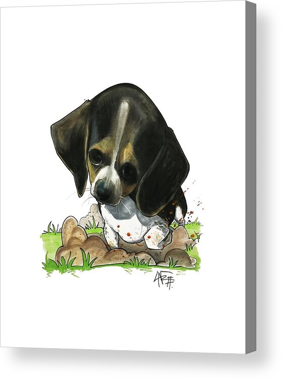 Pet Portrait Acrylic Print featuring the drawing Begley 3204 by John LaFree