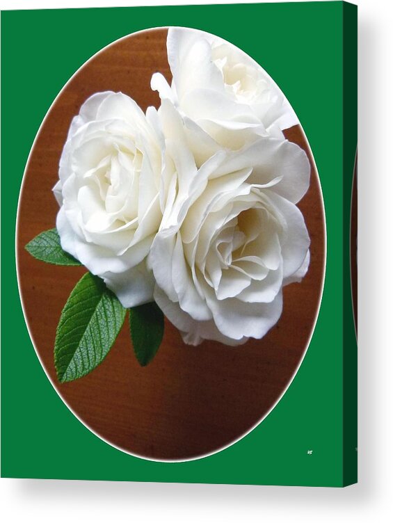 #beautifulwhiteroses Acrylic Print featuring the photograph Belles Roses Blanches by Will Borden