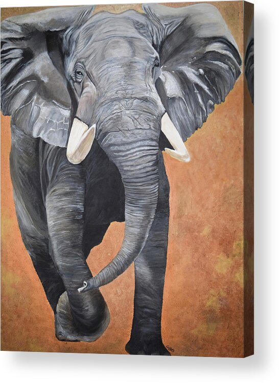 African Elephant Acrylic Print featuring the painting Big Boy by Toni Willey