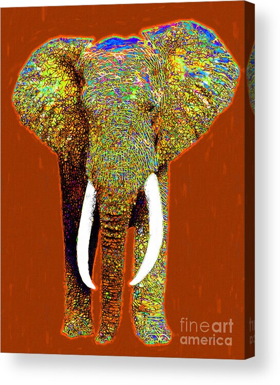 Elephant Acrylic Print featuring the photograph Big Elephant 20130201p20 by Wingsdomain Art and Photography