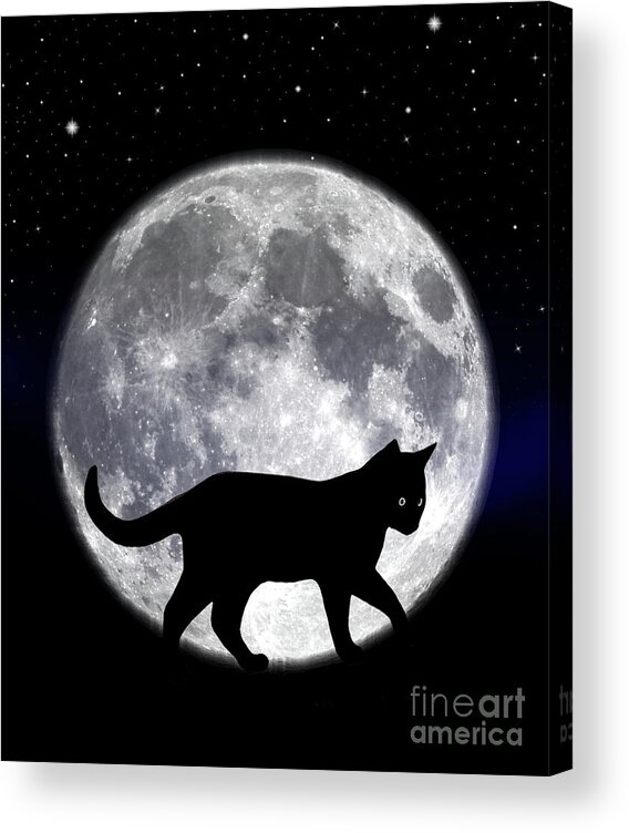 Halloween Acrylic Print featuring the photograph Black Cat And Full Moon 2 by Nina Ficur Feenan