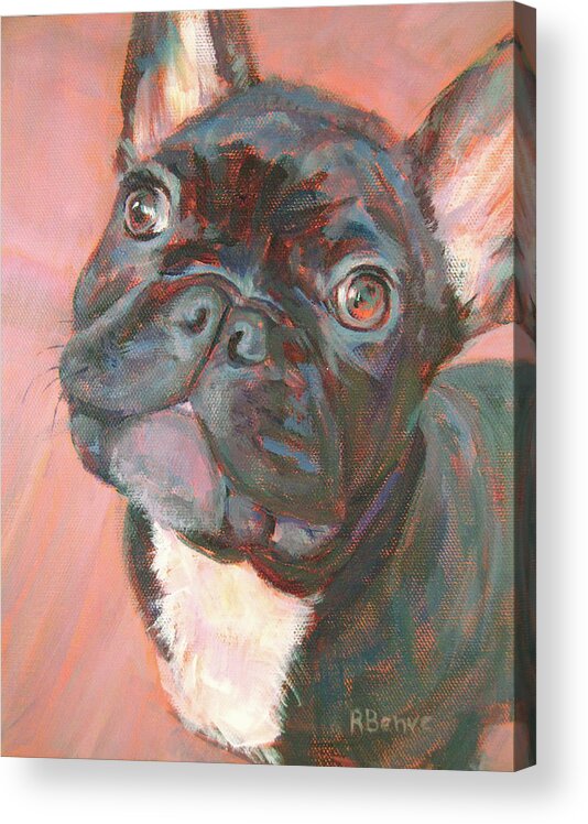 Domestic Acrylic Print featuring the painting Black Dog, Looking Cute by Robie Benve