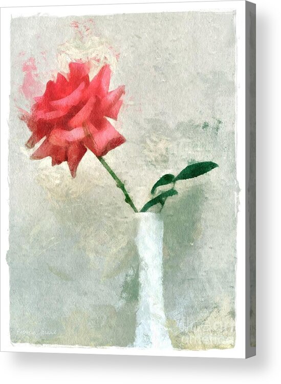 Rose Acrylic Print featuring the photograph Blooming Rose by Patricia Strand