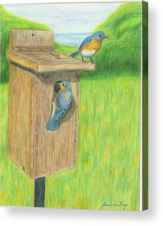 Birds Acrylic Print featuring the painting Bluebirds by Jeanne Juhos