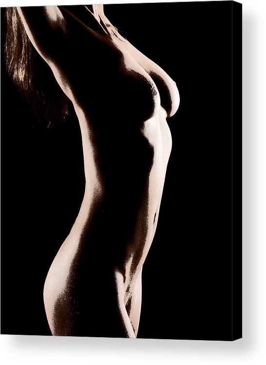 Nude Acrylic Print featuring the photograph Bodyscape 542 by Michael Fryd