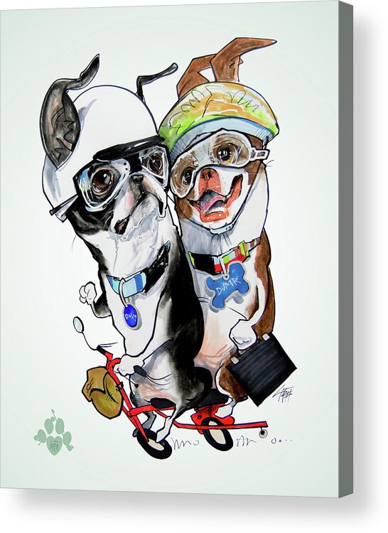 Boston Terrier Acrylic Print featuring the drawing Boston Terriers - Dumb and Dumber by John LaFree