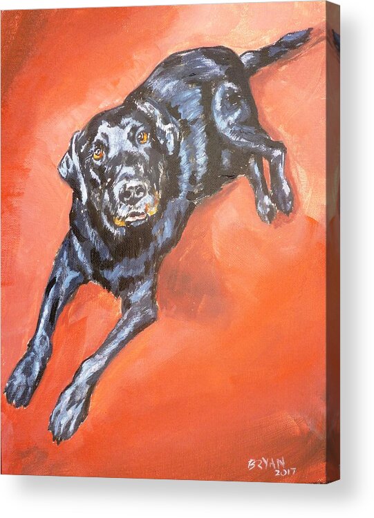 Dog Acrylic Print featuring the painting Buddy by Bryan Bustard