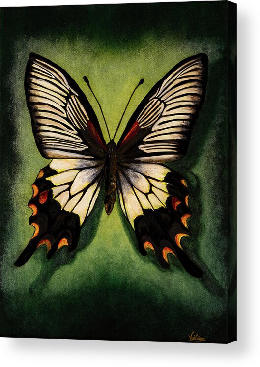 Vivian Holabird Acrylic Print featuring the painting Butterfly study #1 Swallowtail by Vivian Casey Fine Art