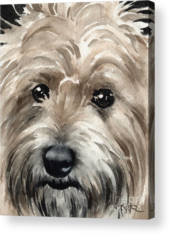 Cairn Terrier Acrylic Print featuring the painting Cairn Terrier by David Rogers