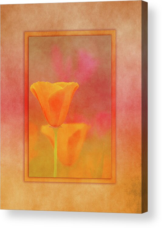 Flower Acrylic Print featuring the digital art California Dream by Terry Davis