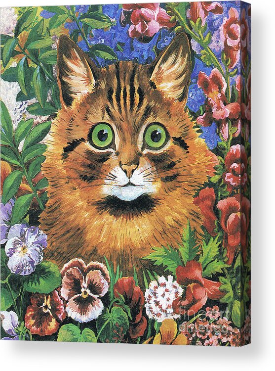 Wain Acrylic Print featuring the painting Cat study by Louis Wain