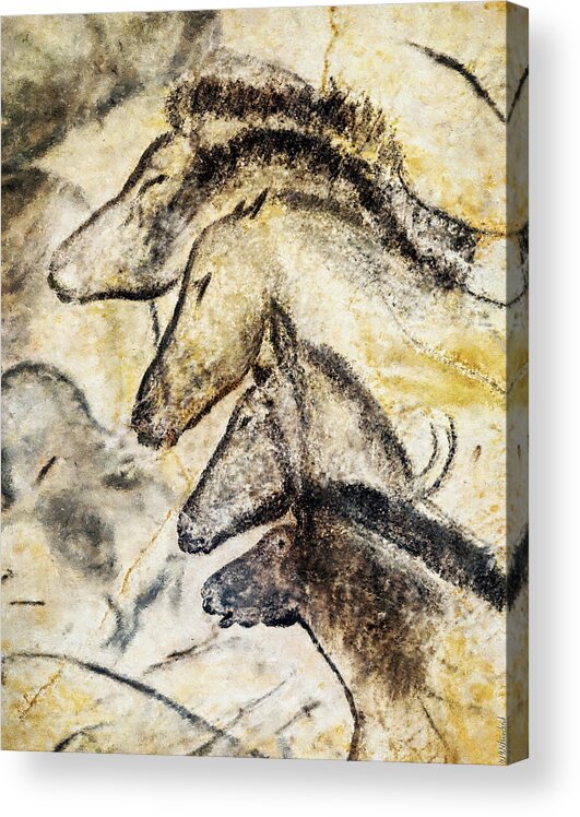Chauvet Horse Acrylic Print featuring the painting Chauvet Horses by Weston Westmoreland