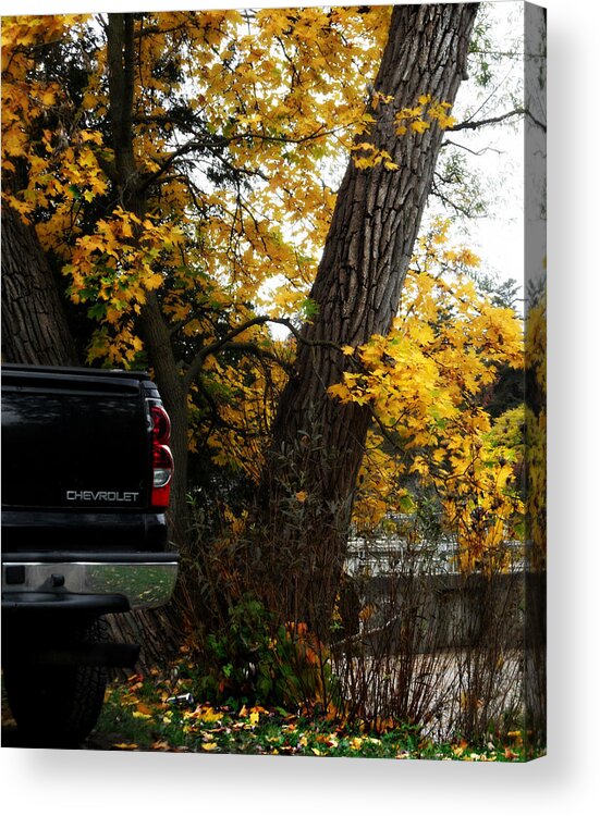 Chev All The Way Acrylic Print featuring the photograph Chev All The Way by Cyryn Fyrcyd