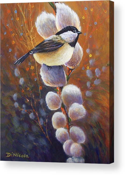 Pussy Acrylic Print featuring the painting Chickadee on Pussy Willow by Anthony DiNicola