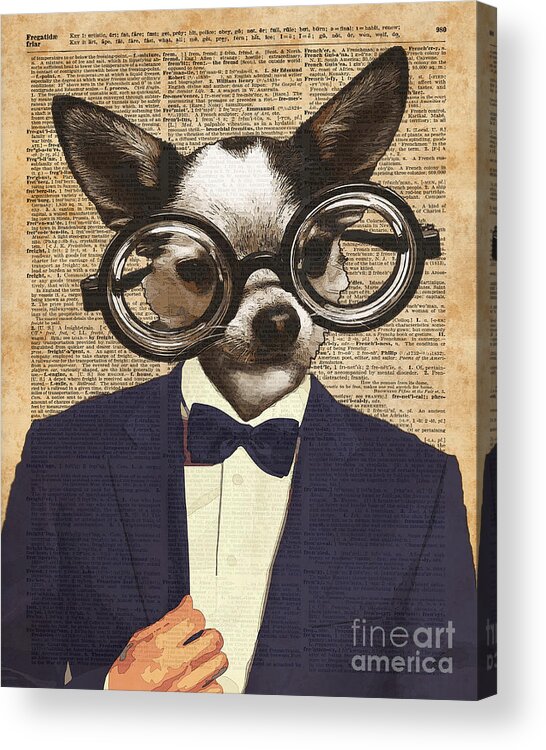Hipster Animal Prints On Real Vintage Dictionary Book Page Framed