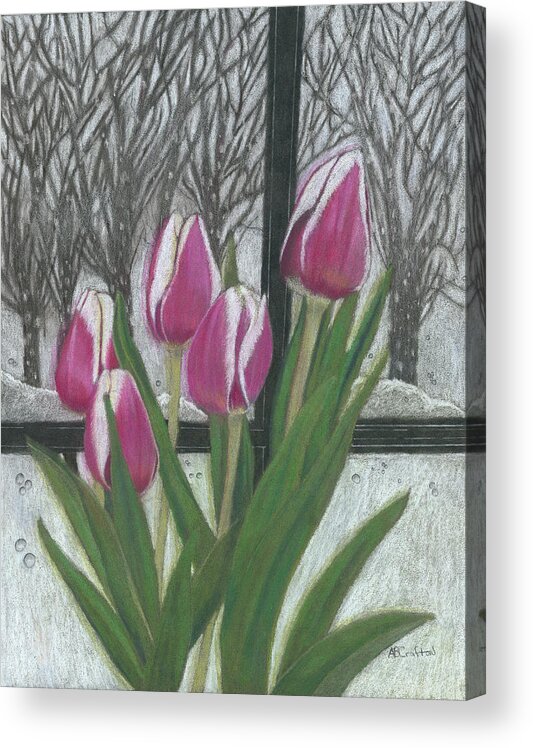 Tulips Acrylic Print featuring the drawing C'mon Spring by Arlene Crafton