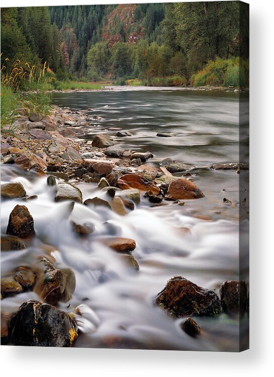 Coeur D' Alene River Acrylic Print featuring the photograph Coeur d'Alene River by Leland D Howard