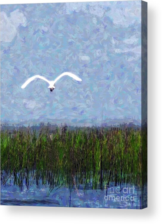Bird Acrylic Print featuring the photograph Come Fly Away by Jack Gannon