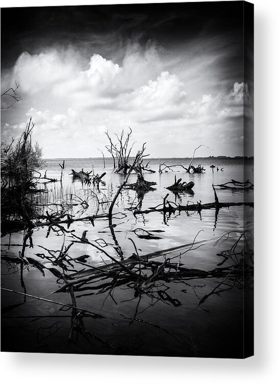 Shore Acrylic Print featuring the photograph Contrast by Alan Raasch