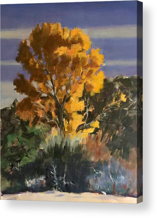 Oil Painting Acrylic Print featuring the painting Cottonwood by Richard Willson