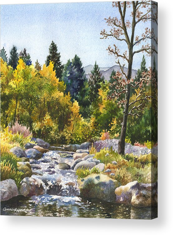 Rocky Mountain Painting Acrylic Print featuring the painting Creek at Caribou by Anne Gifford
