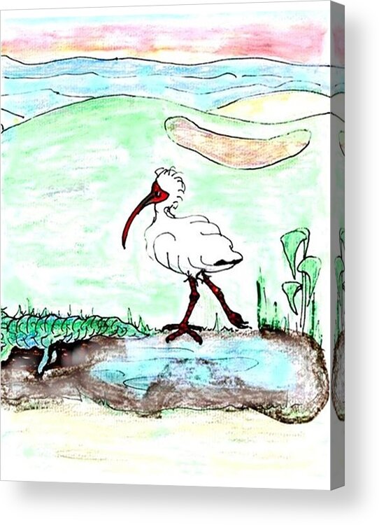 Ibis Acrylic Print featuring the drawing Curious ibis stands by by Carol Allen Anfinsen