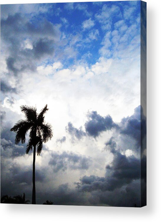 Florida Acrylic Print featuring the photograph Darkness Moving In by Chris Andruskiewicz