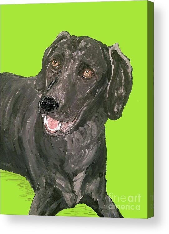 Pet Acrylic Print featuring the painting Date With Paint Sept 18 7 by Ania M Milo