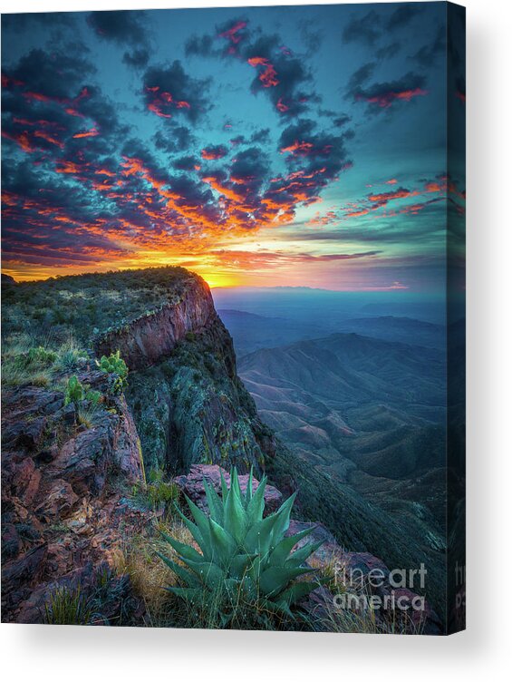 America Acrylic Print featuring the photograph Dawn in the Chisos by Inge Johnsson