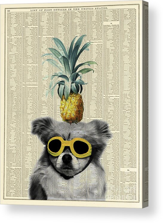 Dog Acrylic Print featuring the mixed media Dog with goggles and pineapple by Delphimages Photo Creations