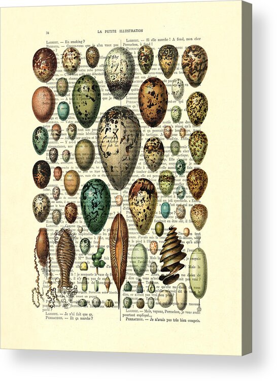 Egg Acrylic Print featuring the digital art Eggs collection by Madame Memento