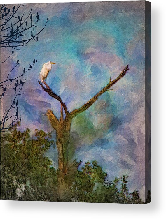 Egret Acrylic Print featuring the photograph Egret Tree by Sandra Schiffner