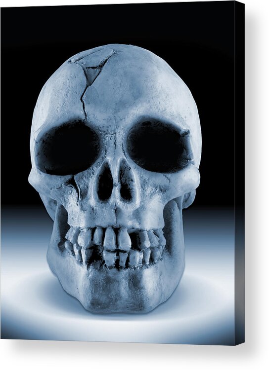 Skull Acrylic Print featuring the photograph Feeling Blue by Mike McGlothlen