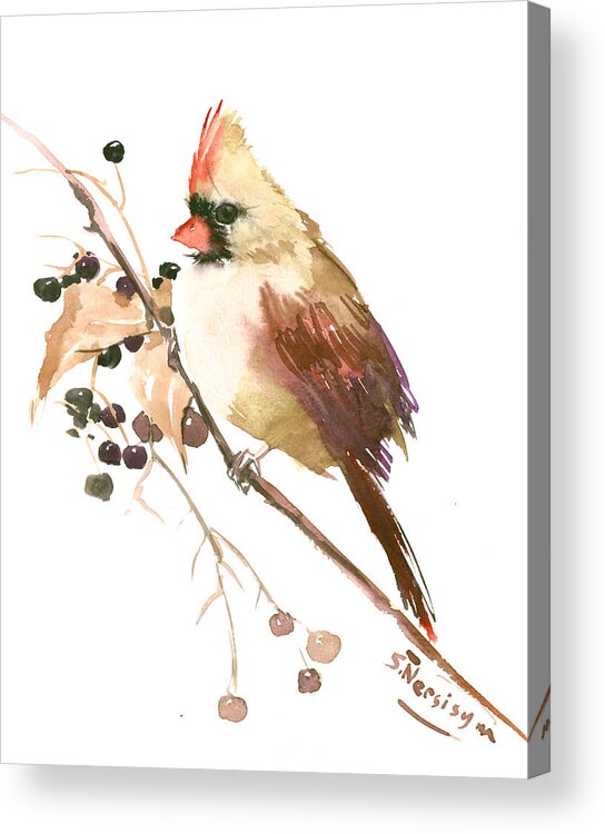 Cardinal Bird Acrylic Print featuring the painting Female Cardinal Bird by Suren Nersisyan