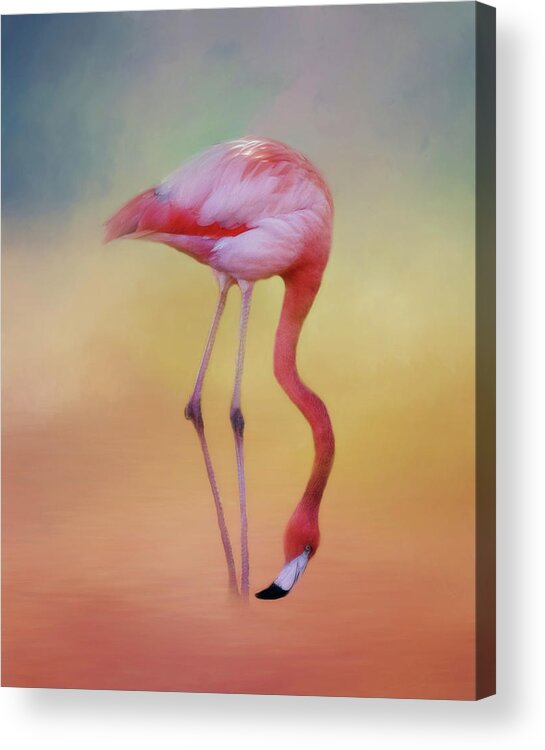 Ciconiiformes Acrylic Print featuring the photograph Flame Colored Wader by Lana Trussell