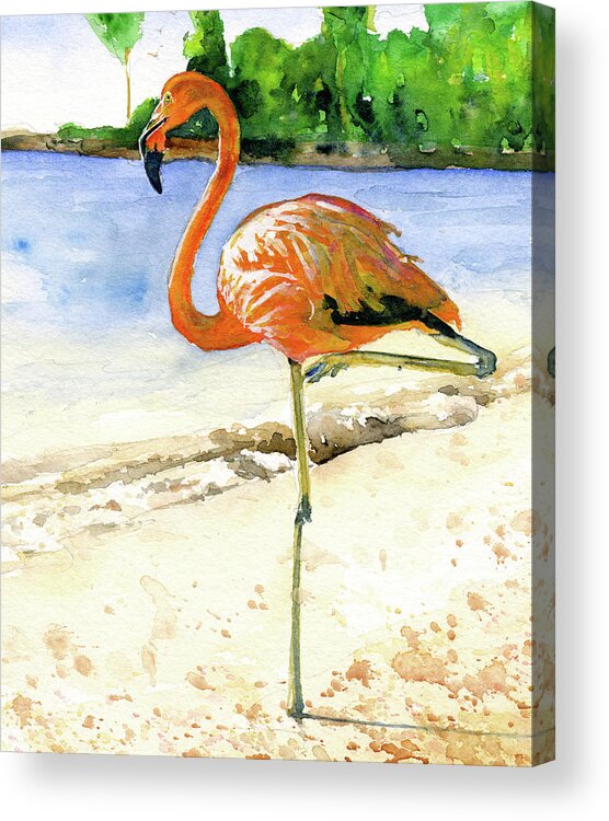 Flamingo Acrylic Print featuring the painting Flamingo by John D Benson