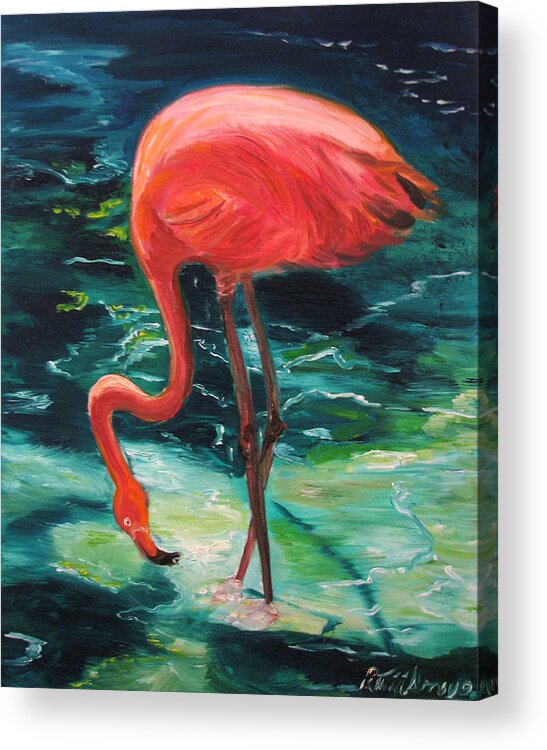Flamingo Acrylic Print featuring the painting Flamingo of Homasassa by Patricia Arroyo