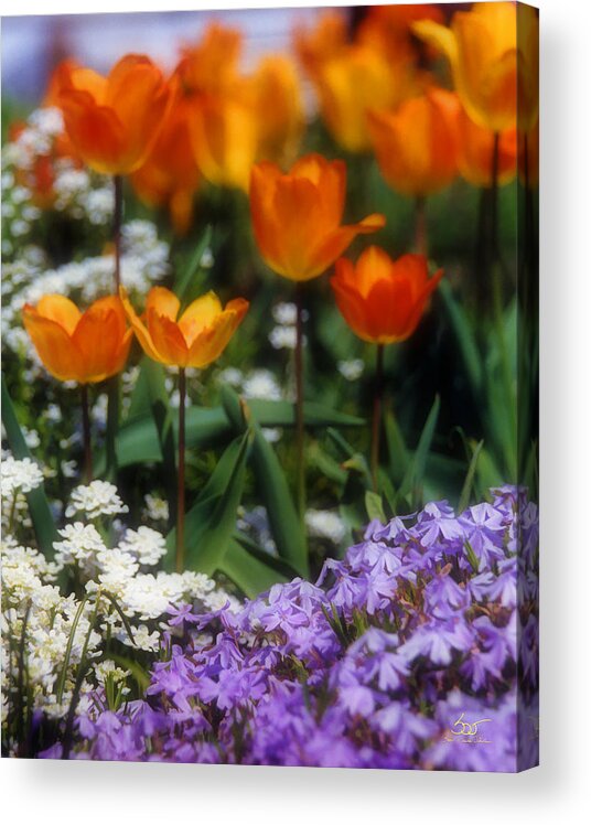 Flowers Acrylic Print featuring the photograph Flower Garden by Sam Davis Johnson