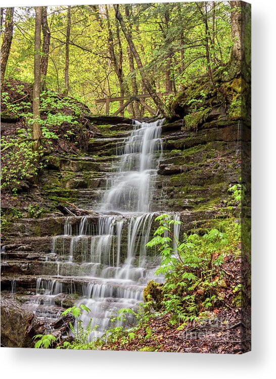 Waterfall Acrylic Print featuring the photograph Forest Cascade by Rod Best