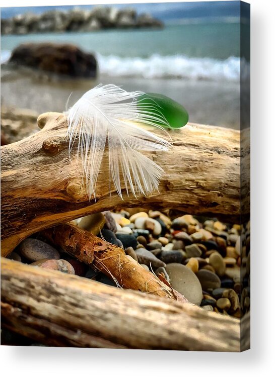 Lake Acrylic Print featuring the photograph Found by Terri Hart-Ellis