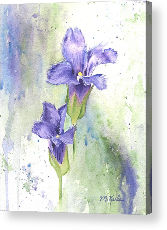 Flower Acrylic Print featuring the painting Fringed Gentian by Marsha Karle