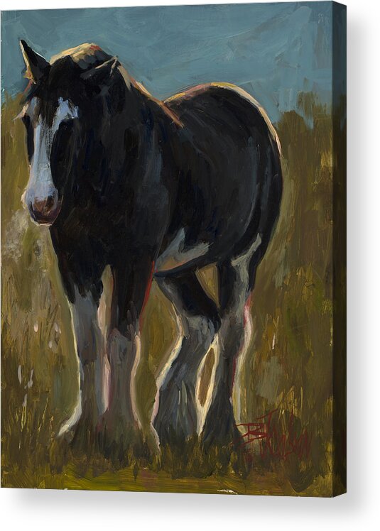 Clydesdale Acrylic Print featuring the painting Frosty Morning by Billie Colson