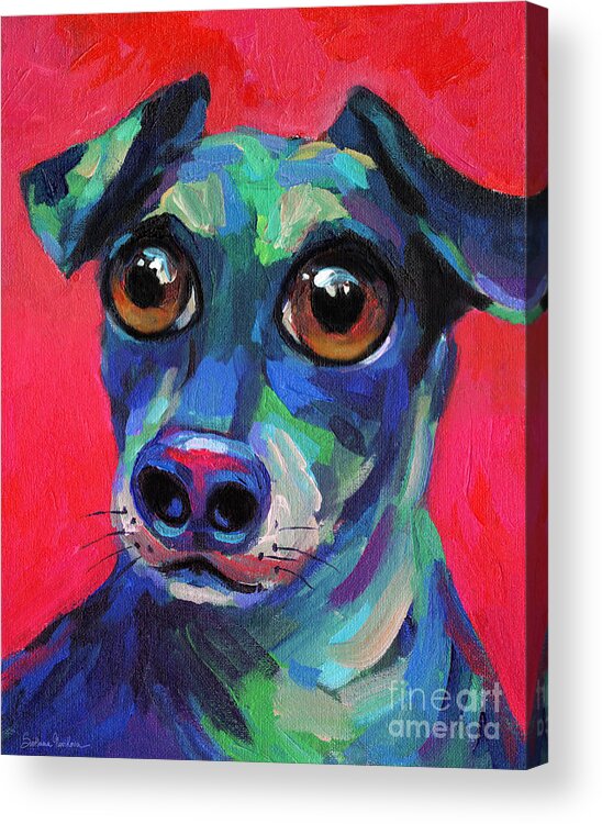 Weiner Dog Acrylic Print featuring the painting Funny dachshund weiner dog with intense eyes by Svetlana Novikova