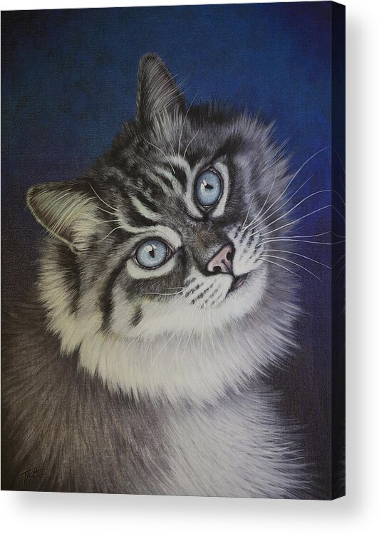 Cat Acrylic Print featuring the painting Furry Tabby cat by Tish Wynne
