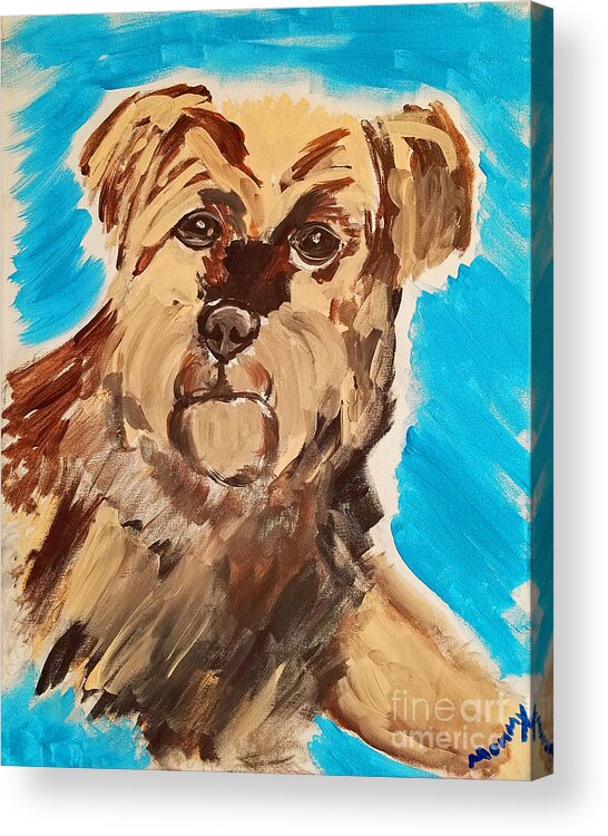 Dog Acrylic Print featuring the painting Fuzzy Boy by Ania M Milo