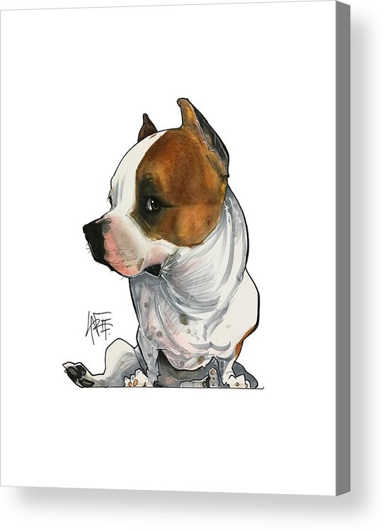 Pet Portrait Acrylic Print featuring the drawing Gabby Minuto 3190 by John LaFree