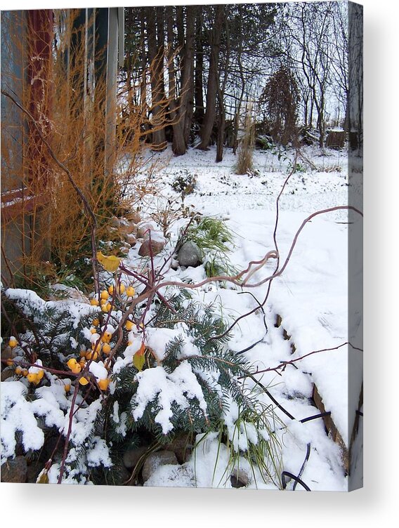 Christmas Acrylic Print featuring the photograph Garden 5 by Krista Ouellette